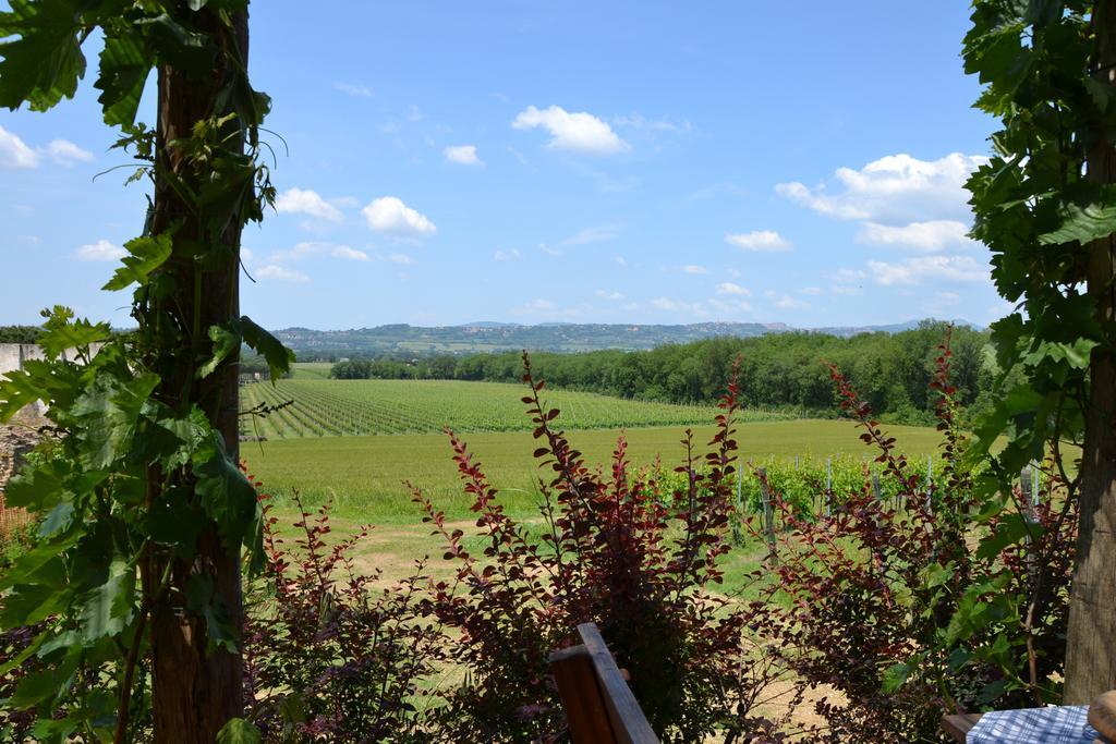Poggio Alle Vigne Torgiano Exterior photo